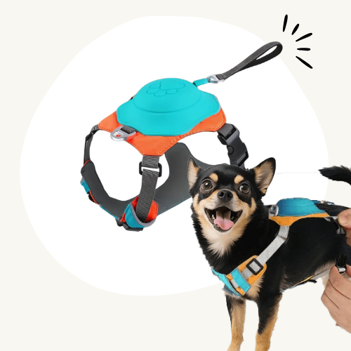 Loopy™ Pawsease Harnas Mini