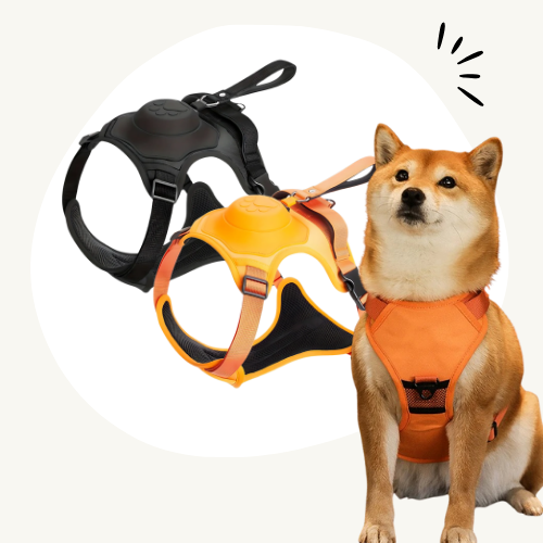 Loopy™ Pawsease Harnas