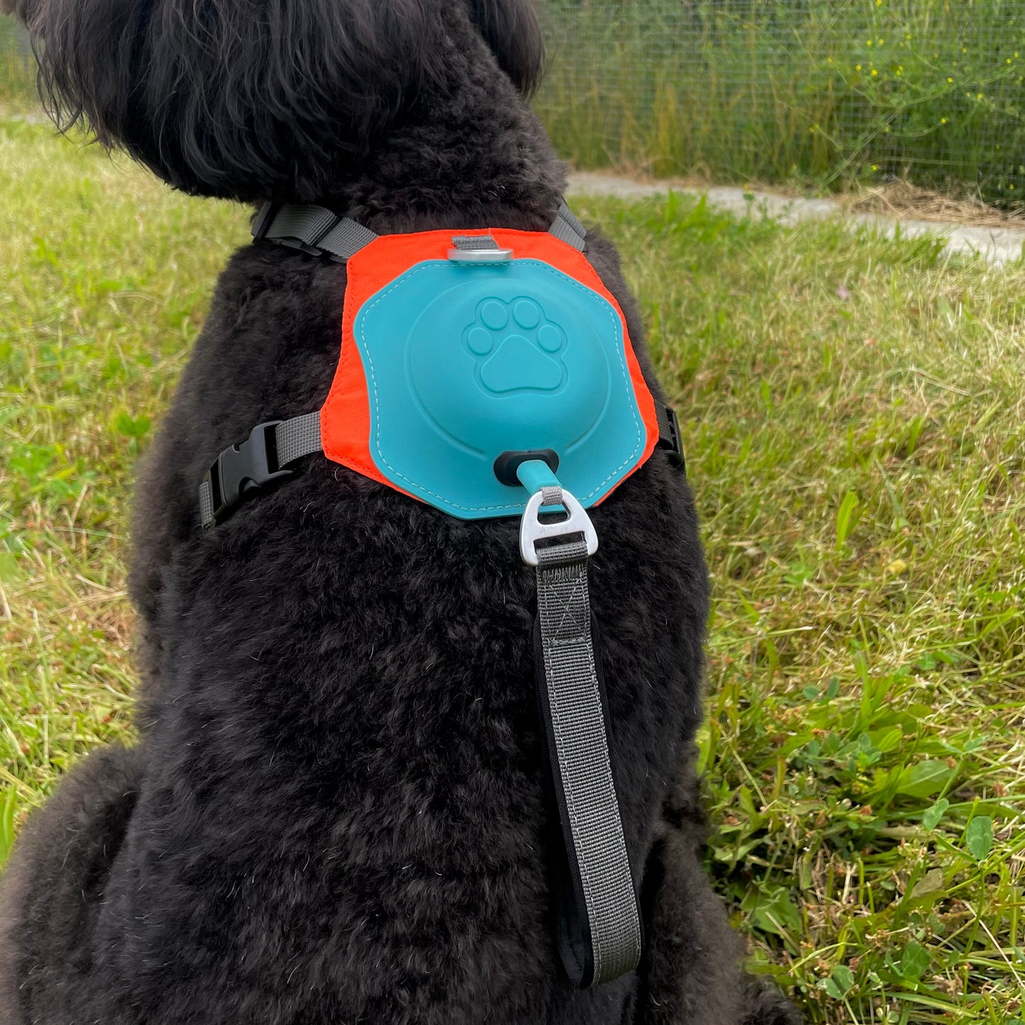 Loopy™ Pawsease Harnas Mini