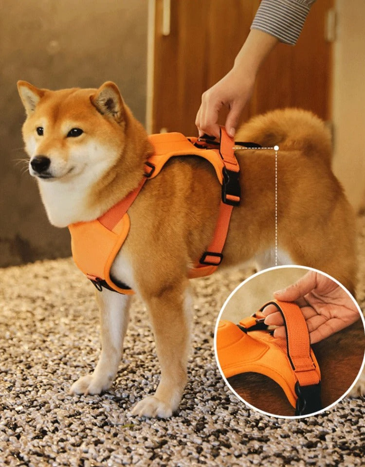 Loopy™ Pawsease Harnas